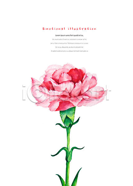 감성 따뜻함 화려 사람없음 PSD 일러스트 꽃 빨간색 수채화(물감) 식물 카네이션 한송이