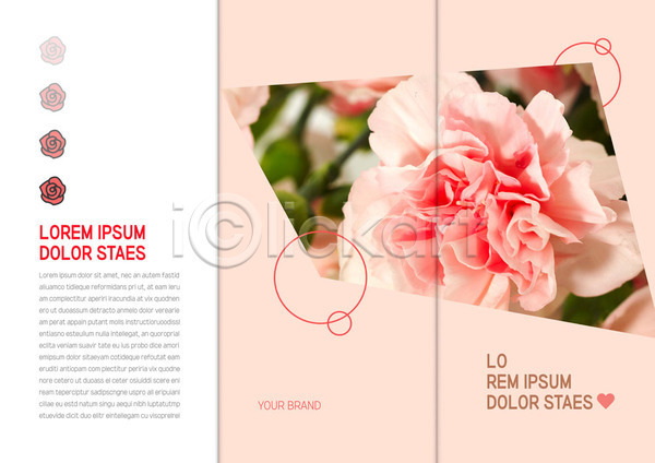 사랑 화려 사람없음 AI(파일형식) 템플릿 3단접지 꽃 꽃잎 리플렛 북디자인 북커버 분홍색 원형 장미 출판디자인 팜플렛 표지 표지디자인 하트