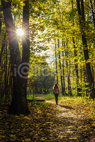 사람없음 여자 JPG 포토 해외이미지 10월 11월 가을(계절) 공원 광선 길 나무 노란색 맑음 머리카락 불꽃(불) 빛 숲 잎 컬러풀 태양 햇빛 황금