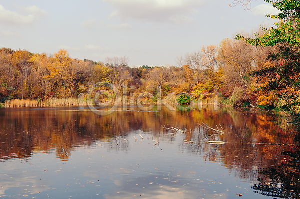 사람없음 JPG 포토 해외이미지 가을(계절) 공원 나무 반사 숲 풍경(경치) 호수