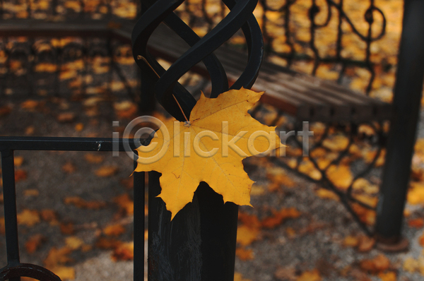 사람없음 JPG 아웃포커스 포토 해외이미지 가을(계절) 노란색 단풍 백그라운드 야외 울타리 풍경(경치)