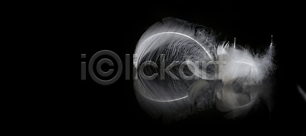 고요 매끈함 부드러움 상상 순수 우아함 천진난만 평화 사람없음 JPG 실루엣 포토 해외이미지 공상 깃털 깃털펜 깊이 꿈 날개 단아함 물 물방울 반짝임 백조 불꽃 수영 슬라이드 심플 왕관 요정 윤곽 천사 취급주의 카피스페이스 해외포토 확대 황금