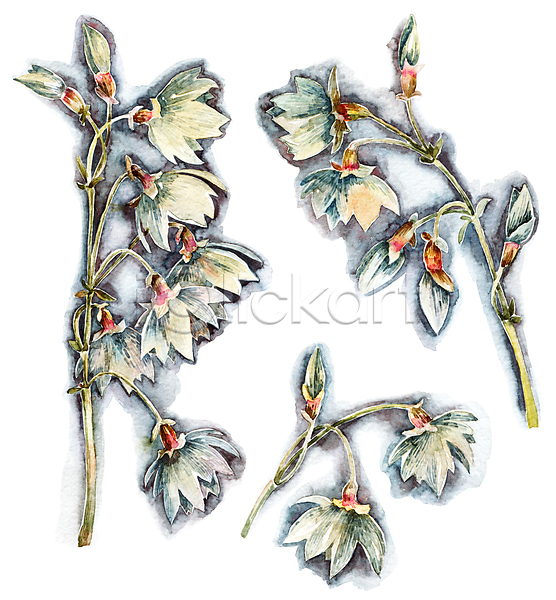 사람없음 JPG 일러스트 해외이미지 그림 꽃 번짐 붓터치 수채화(물감) 식물 잎