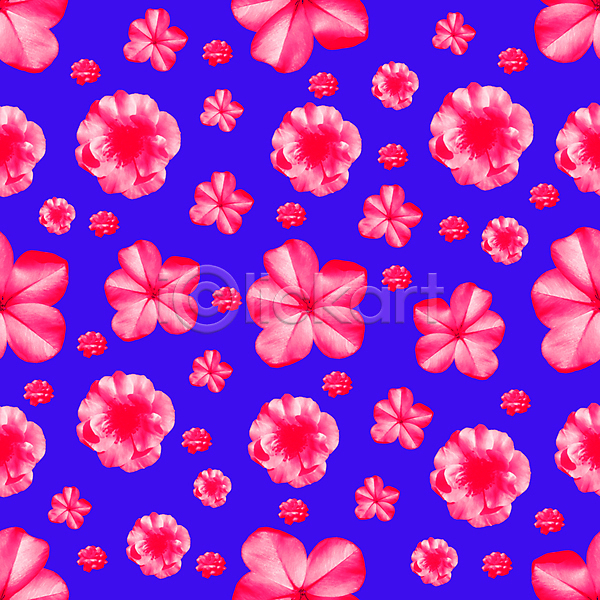 화려 활발 희망 사람없음 JPG 포토 해외이미지 강렬 거울 꽃 꽃무늬 디자인 디지털 모음 모자이크 무늬 미술 백그라운드 벚꽃 빨간색 스타일 유행 인쇄 자연 장식 직물 컬러풀 파란색 패턴 표면