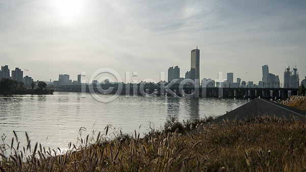 사람없음 JPG 포토 63빌딩 강가 강아지풀 구름(자연) 도시 도시풍경 서울 야외 주간 하늘 한강 한강철교 한국