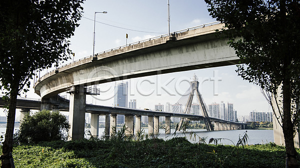 사람없음 JPG 로우앵글 포토 강가 나무 다리밑 도시 도시풍경 서울 야외 올림픽대로 주간 한강 한국