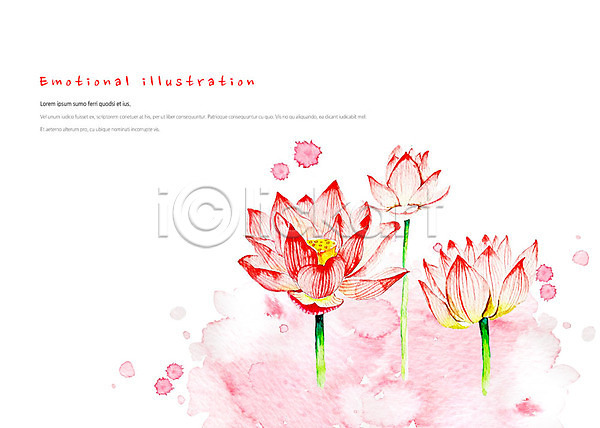 화려 사람없음 PSD 일러스트 꽃 단아함 동양화 만개 번짐 분홍색 붓터치 세송이 수채화(물감) 여름(계절) 연꽃(꽃) 한국화