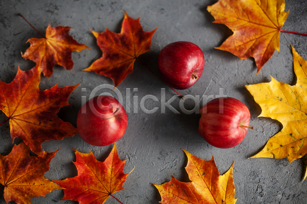 사람없음 JPG 포토 해외이미지 과일 낙엽 단풍 사과 실내 회색배경
