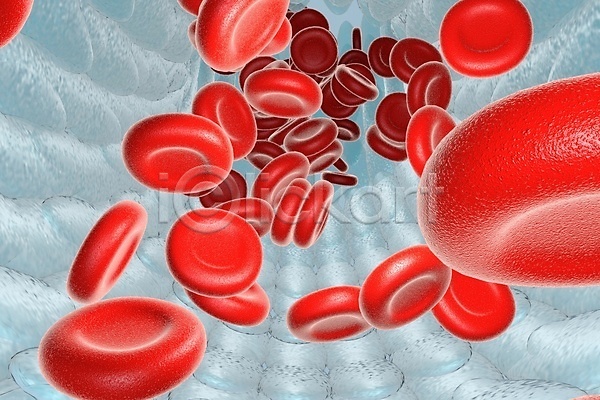 사람없음 3D JPG 포토 해외이미지 세포 적혈구 혈구