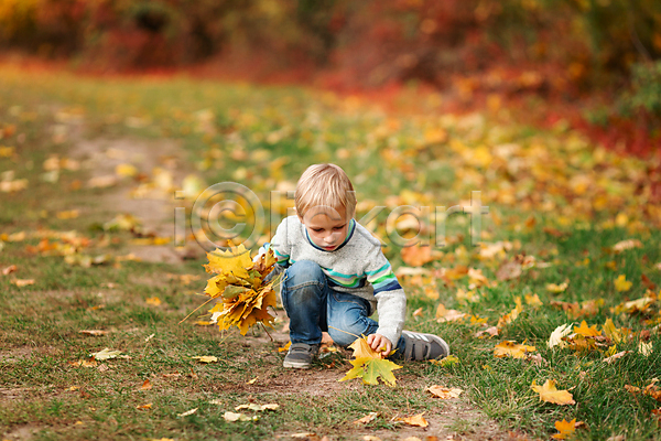 기쁨 따뜻함 행복 10대 백인 사람 소년 아기 어린이 한명 JPG 포토 해외이미지 10월 감정 걸음마 계절 공원 나무 노란색 라이프스타일 모임 미소(표정) 스웨터 앉기 야외 얼굴 잎 자연 작음 컬러풀 표현 황금