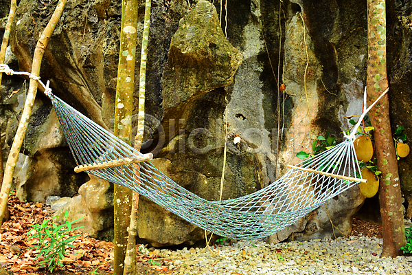 휴식 사람 사람없음 JPG 포토 해외이미지 그네 나무 망사 묶기 밧줄 섬유 아시아 앉기 여행 위치 자연 잠
