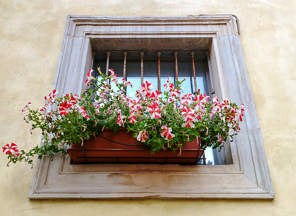 사람없음 JPG 포토 해외이미지 건물 건축양식 꽃 마을 백그라운드 벽 분홍색 빌라 빨간색 식물 아파트 여름(계절) 여행 우아 이탈리아 전통 주택 지중해 창문 흰색