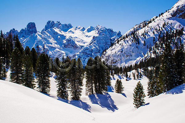 추위 침묵 사람없음 JPG 포토 해외이미지 겨울 계곡 나무 눈내림 맑음 바위 산 소나무 숲 알프스 암초 야외 유럽 이탈리아 자연 장면 절정 초록색 파노라마 파란색 풍경(경치) 하늘 하이킹 환경 흰색