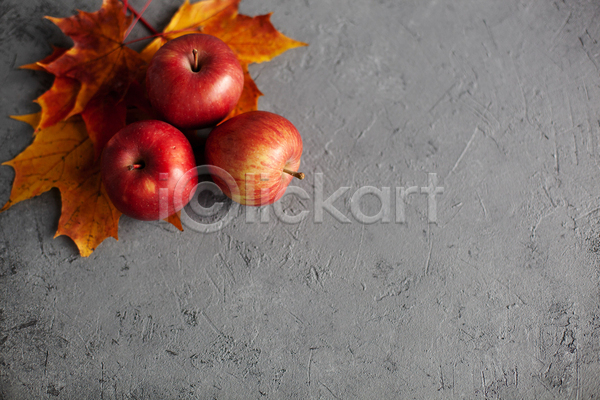 사람없음 JPG 포토 해외이미지 과일 낙엽 단풍 사과 세개 실내 카피스페이스 회색배경