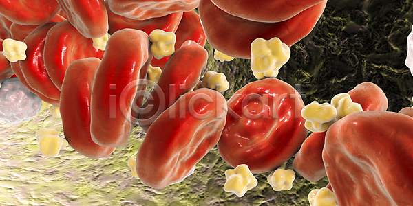 사람없음 3D JPG 포토 해외이미지 세포 적혈구 콜레스테롤 혈구