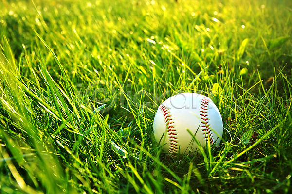 사람없음 JPG 포토 해외이미지 야구 야구공 야외 잔디 주간 한개