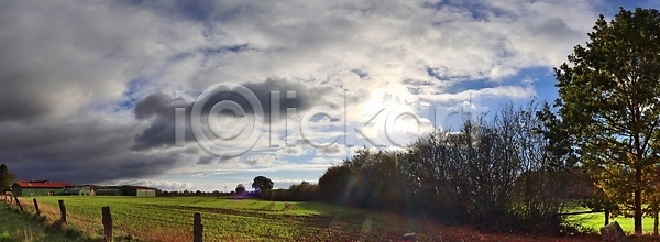 성장 활발 사람없음 JPG 포토 해외이미지 계절 공원 나무 내추럴 농경지 농업 농장 땅 맑음 밭 밭일 백그라운드 봄 수평선 시골 여행 유럽 자연 장면 초록색 카피스페이스 파노라마 파란색 하늘 해외포토 햇빛 환경