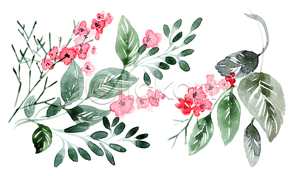사람없음 JPG 일러스트 해외이미지 그림 꽃 꽃다발 번짐 붓터치 수채화(물감) 식물 잎