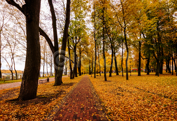 사람없음 JPG 포토 해외이미지 가을(계절) 공원 공원길 낙엽 단풍 단풍나무 야외 주간 주황색 풍경(경치)