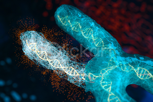 사람없음 3D JPG 해외이미지 검은색 염색체 염색체구조 유전자구조 폴리곤 하늘색