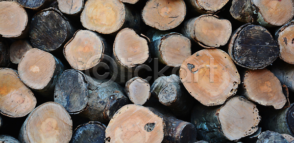 사람없음 JPG 일러스트 템플릿 포토 해외이미지 갈색 거친 겨울 나무 나무껍질 내추럴 모양 목재 미술 반지 백그라운드 벽 산업 선 소나무 수목 숲 시골 식물 쌓기 야외 옛날 우주 원형 자르기 자연 잡동사니 장작 질감 추상 통나무 파노라마 패턴 프레임 해외포토 환경