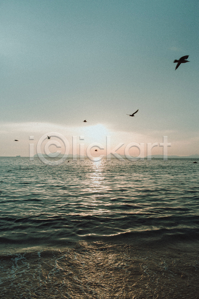 사람없음 JPG 포토 해외이미지 바다 야외 자연 주간 태양 파도 풍경(경치) 하늘 햇빛