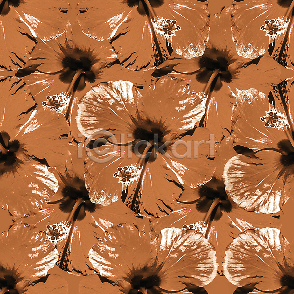 화려 희망 사람없음 JPG 포토 해외이미지 갈색 거울 꽃 꽃무늬 꽃잎 디자인 디지털 모음 모자이크 미술 배열 백그라운드 벚꽃 수확 스타일 유행 인쇄 자연 장식 조작 직물 창백 패턴 표면 히비스커스