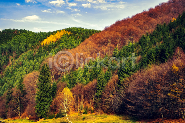 사람없음 JPG 포토 해외이미지 가을풍경 구름(자연) 단풍 단풍나무 루마니아 산 숲 야외 주간