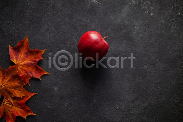 사람없음 JPG 포토 해외이미지 검은배경 과일 낙엽 단풍 사과 실내 한개