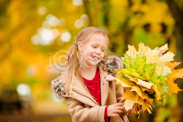 소녀(어린이) 소녀한명만 어린이 여자 한명 JPG 아웃포커스 앞모습 포토 해외이미지 가을(계절) 낙엽 다발 들기 상반신 응시