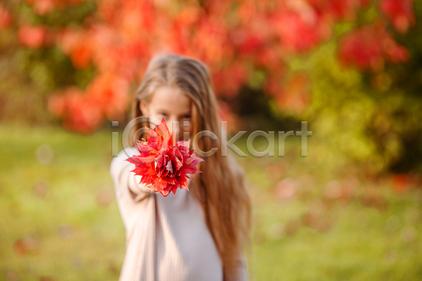 소녀한명만 어린이 여자 한명 JPG 아웃포커스 앞모습 포토 해외이미지 공원 다발 단풍 들기 미소(표정) 빨간색 상반신 손뻗기