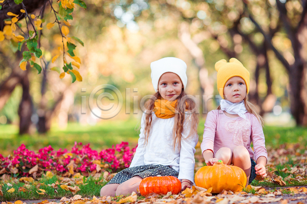 함께함 두명 소녀(어린이) 소녀만 어린이 여자 JPG 아웃포커스 앞모습 포토 해외이미지 가을(계절) 공원 낙엽 미소(표정) 앉기 올려보기 자매 잔디 전신 호박