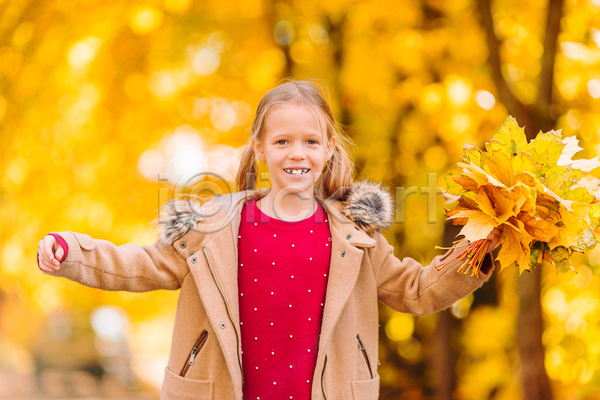 소녀(어린이) 소녀한명만 어린이 여자 한명 JPG 아웃포커스 앞모습 포토 해외이미지 가을(계절) 낙엽 다발 들기 미소(표정) 상반신 팔벌리기