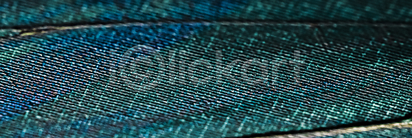 화려 사람없음 JPG 포토 해외이미지 무늬 물감 백그라운드 붓터치 질감 파란색