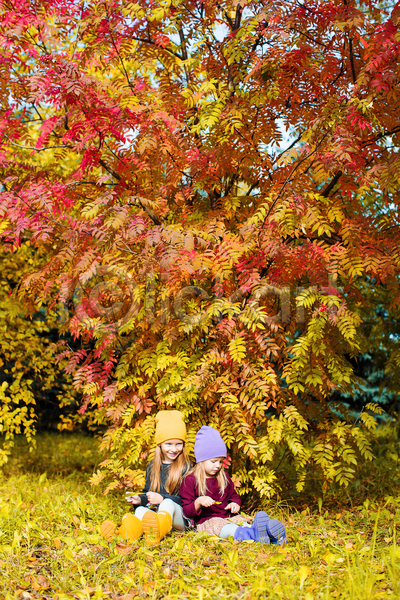함께함 두명 소녀(어린이) 소녀만 어린이 여자 JPG 앞모습 옆모습 포토 해외이미지 가을(계절) 공원 낙엽 단풍나무 미소(표정) 앉기 응시 자매 전신 풀(식물)