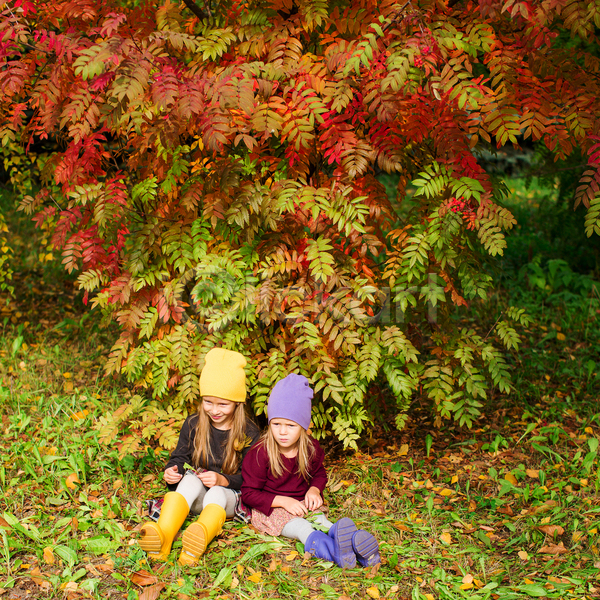함께함 두명 소녀(어린이) 소녀만 어린이 여자 JPG 앞모습 포토 해외이미지 가을(계절) 공원 낙엽 단풍 미소(표정) 앉기 자매 풀(식물)