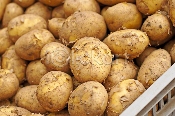사람없음 JPG 포토 해외이미지 가득함 감자 농작물 담기 야외 여러개 주간