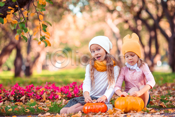 함께함 두명 소녀(어린이) 소녀만 어린이 여자 JPG 아웃포커스 앞모습 포토 해외이미지 가을(계절) 공원 낙엽 내려보기 놀람 앉기 자매 잔디 잡기 전신 호박