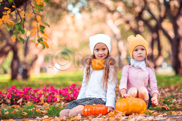 두명 백인 소녀(어린이) 소녀만 아기 어린이 JPG 포토 해외이미지 가을(계절) 가을풍경 가족 단풍 맑음 미소(표정) 숲 야외 언니 자매 할로윈 호박