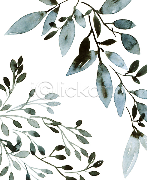사람없음 JPG 일러스트 해외이미지 그림 번짐 붓터치 뷰티 수채화(물감) 식물 잎
