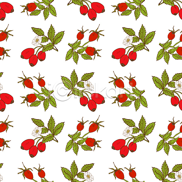 사람없음 JPG 일러스트 해외이미지 꽃 디자인 백그라운드 열매 패턴 패턴백그라운드