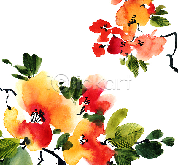 사람없음 JPG 일러스트 해외이미지 그림 꽃 번짐 붓터치 뷰티 수채화(물감) 식물
