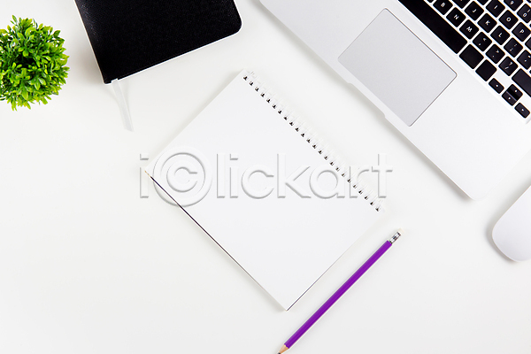 사람없음 JPG 포토 해외이미지 공책 노트북 다이어리 마우스 비즈니스 식물 연필 플랫레이 화분 흰배경