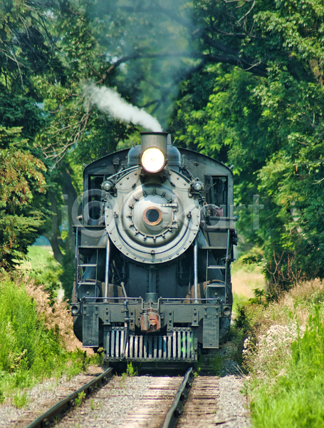 사람없음 JPG 포토 해외이미지 기차 기찻길 나무 숲길 야외 주간 증기기관차 풍경(경치)