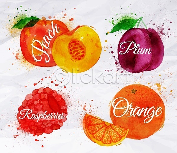 사람없음 EPS 일러스트 해외이미지 복숭아 산딸기 손그림 수채화(물감) 오렌지 자두