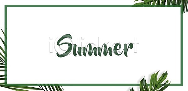 EPS 일러스트 템플릿 해외이미지 그래픽 그리너리 꽃무늬 나무 디자인 배너 백그라운드 벽지 봄 손바닥 수평선 수확 숲 식물 여름(계절) 유행 잎 자연 장식 초록색 프레임 하와이 해외일러스트 환경 휴가 휴양지 흰색