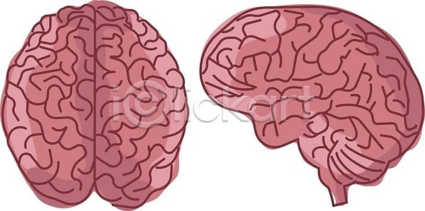 불안 스마트 사람 EPS 일러스트 해외이미지 건강 고립 과학 교육 그래픽 그림 뇌 디자인 마음 머리 미술 백그라운드 생물학 선 수확 스터디 시스템 심볼 약 오르간 지능 컨셉 판화 해부 해외일러스트 흰색