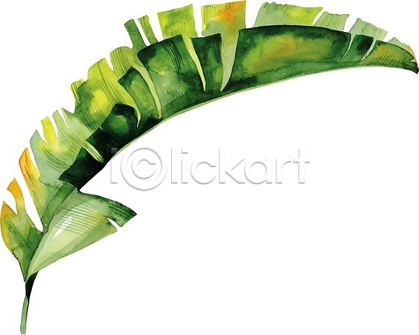 사람없음 EPS 일러스트 해외이미지 그림 번짐 붓터치 수채화(물감) 식물 야자수잎