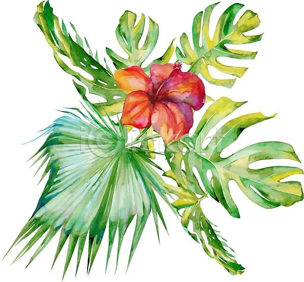 사람없음 EPS 일러스트 해외이미지 공원 그림 꽃 번짐 붓터치 수채화(물감) 식물