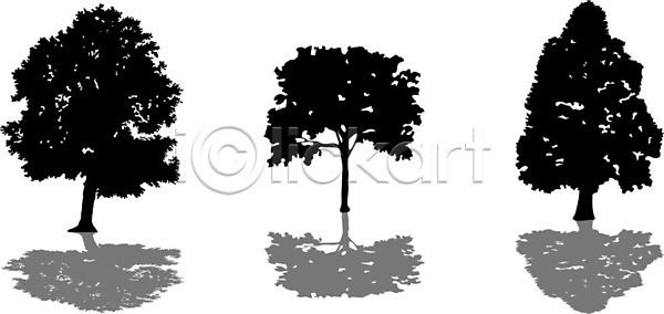 EPS 실루엣 일러스트 해외이미지 고립 공원 그래픽 그림 나무 나뭇가지 내추럴 농업 단풍 디자인 모양 목재 미술 백그라운드 세트 수집 숲 식물 엘리먼트 오브젝트 윤곽 잎 자연 자작나무 장식 줄기 해외일러스트